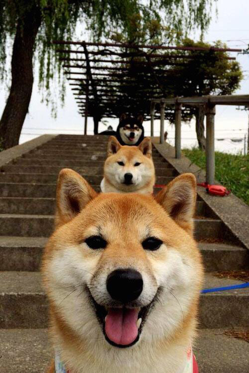 开云体育登录-一场大于一，联合杯何以力克法网，阿尔卡拉斯的纪录背后