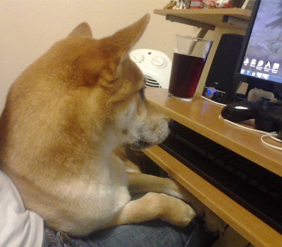 双线争锋，泰国队补时绝杀激荡绿茵，戴资颖连胜风暴席卷羽坛