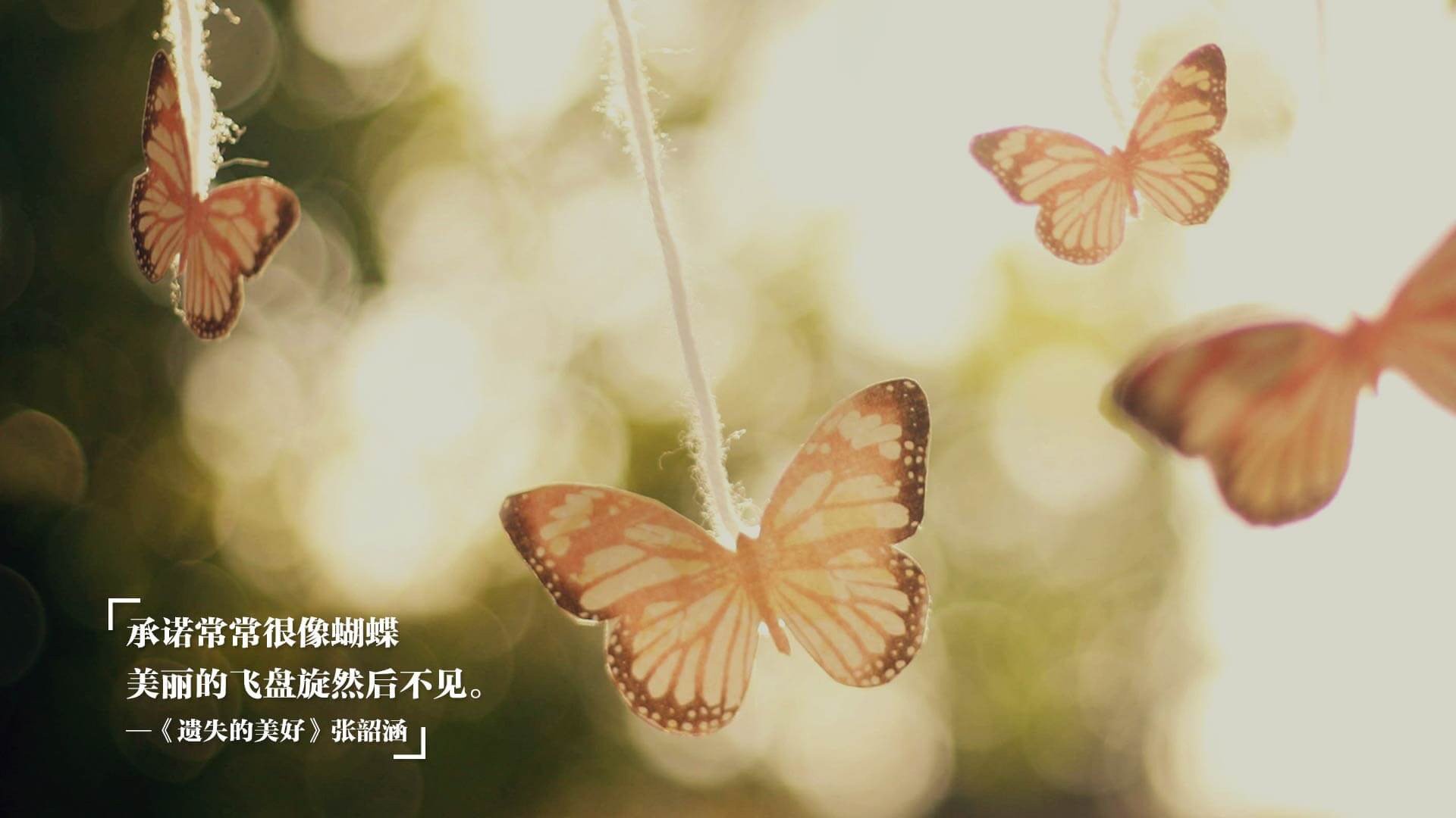 开云体育中国-生死七秒，帕尔默的沉默与全场轰鸣