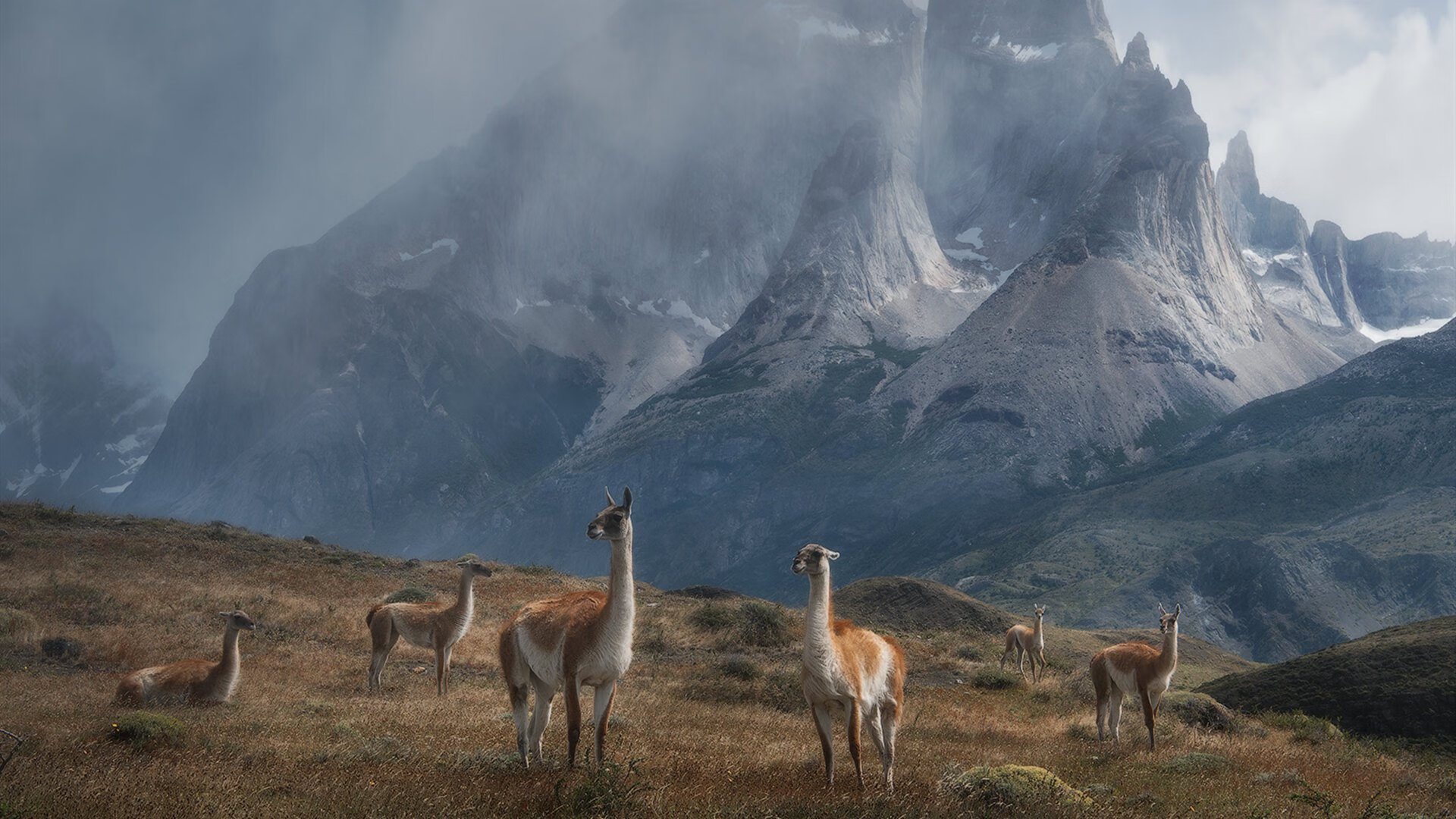 开云体育官网-金色绝杀，当福克斯的最后一击成为历史唯一