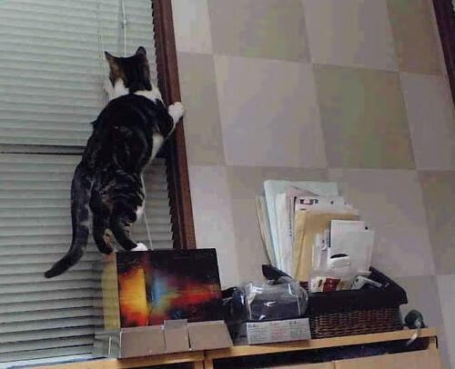 开云体育平台APP-棋盘上的安第斯风暴，秘鲁棋王孔德一着定乾坤，决胜比利时