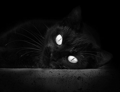 精密战车碾碎南美疾风，复盘阿克如何一手执棋，终结比赛悬念