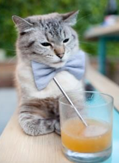 凯尔特神话的黄昏，当法老之光终结翡翠岛的东决奇迹