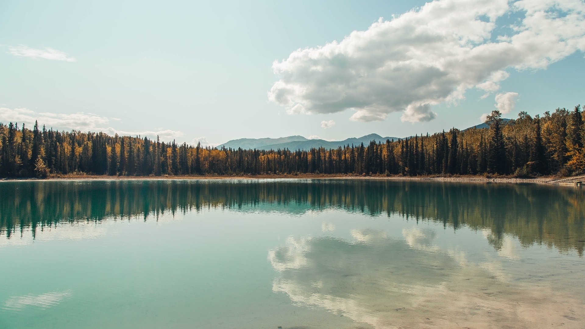 天使之翼，当迪马利亚的传说照进雷恩逆转之夜