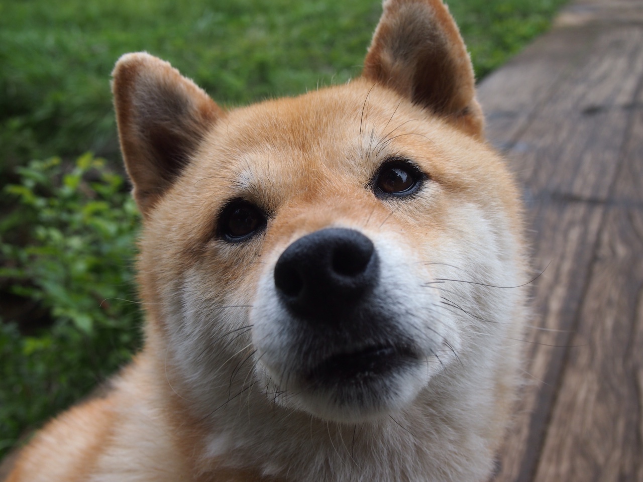 当库里身披魔术战袍，一场非常规对决如何定义关键先生新维度