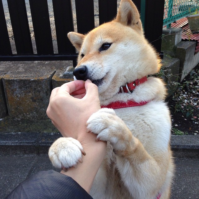 表演赛中的真实较量，利拉德末节19分击碎悬念