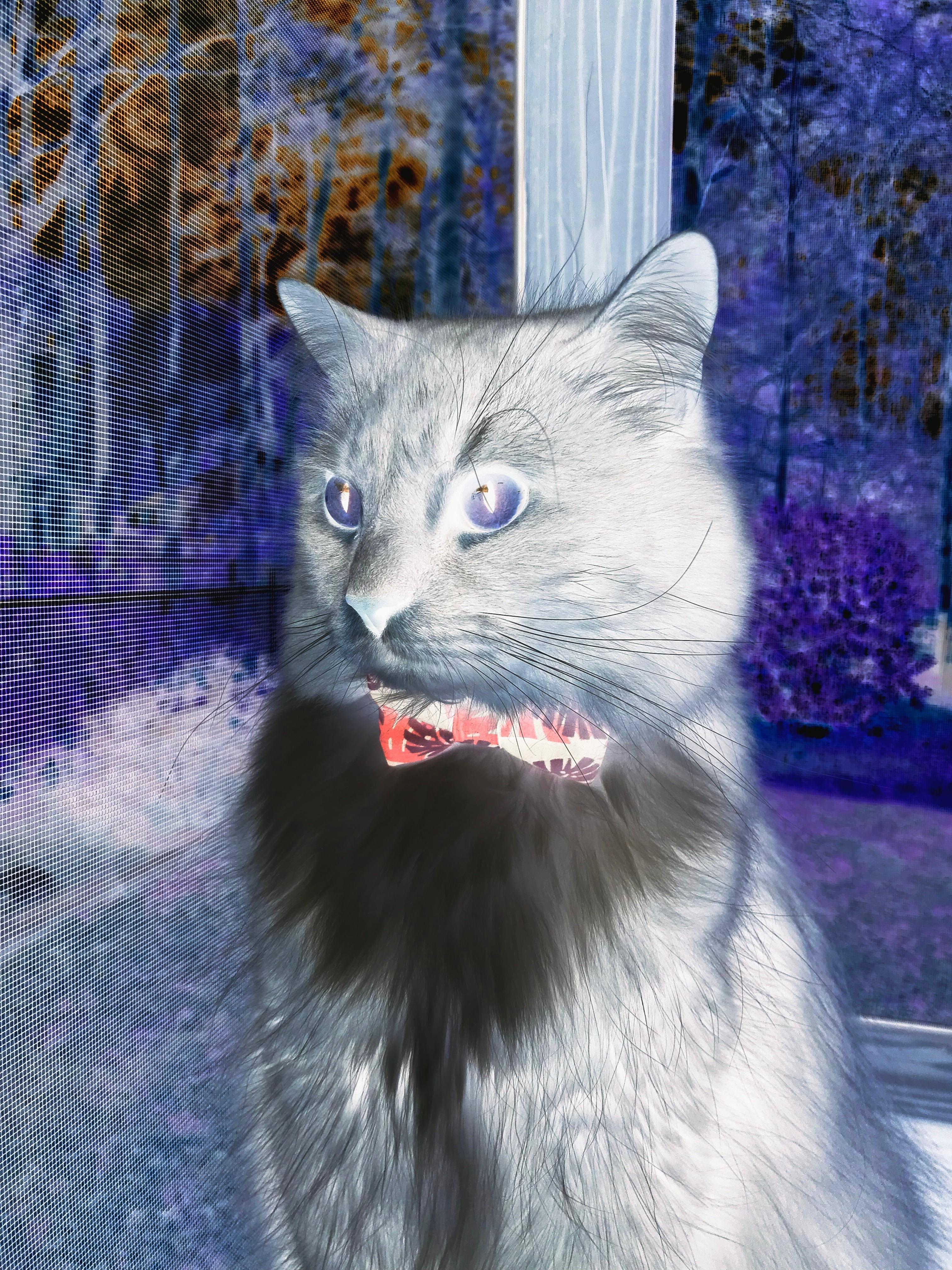 致命误判？班凯罗关键五分钟连砍12分，火箭窃走灰熊胜利