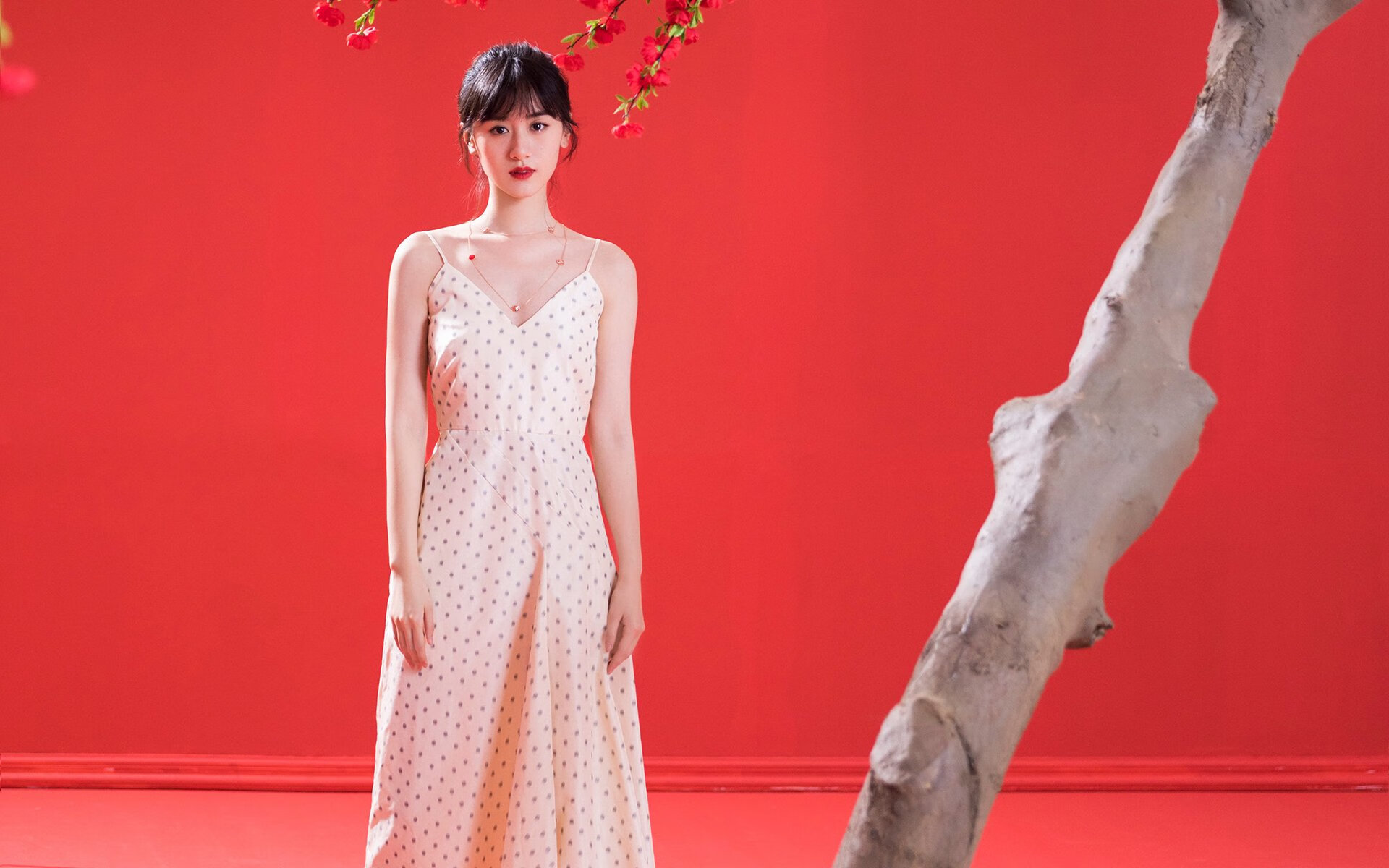 压哨绝杀点燃世界杯之星，猛龙胜广东，哈利伯顿2026接管比赛