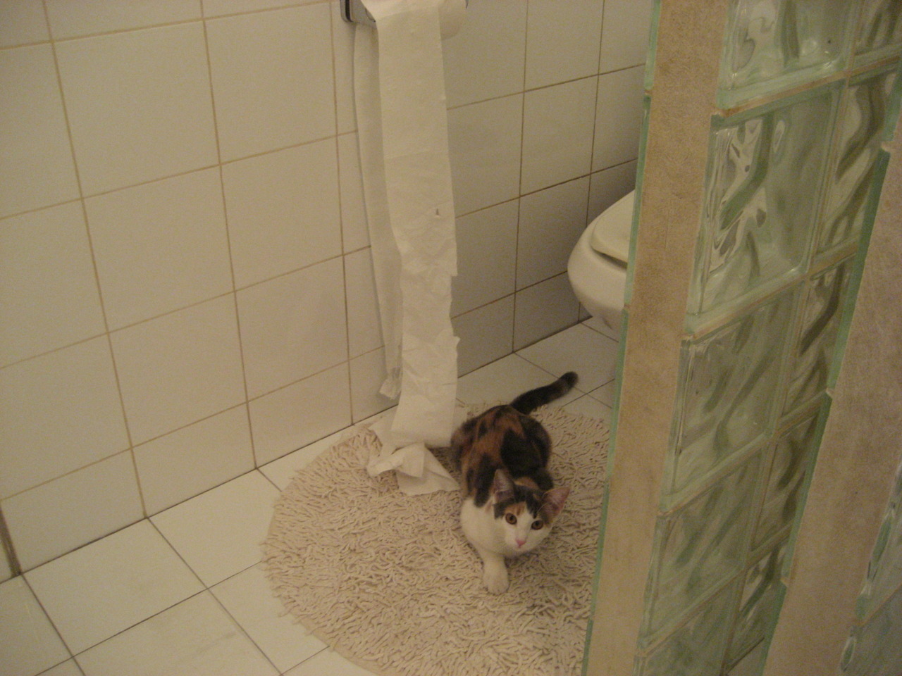 当暴力美学遇见现代篮球，塔图姆如何用一场比赛重新定义个人能力