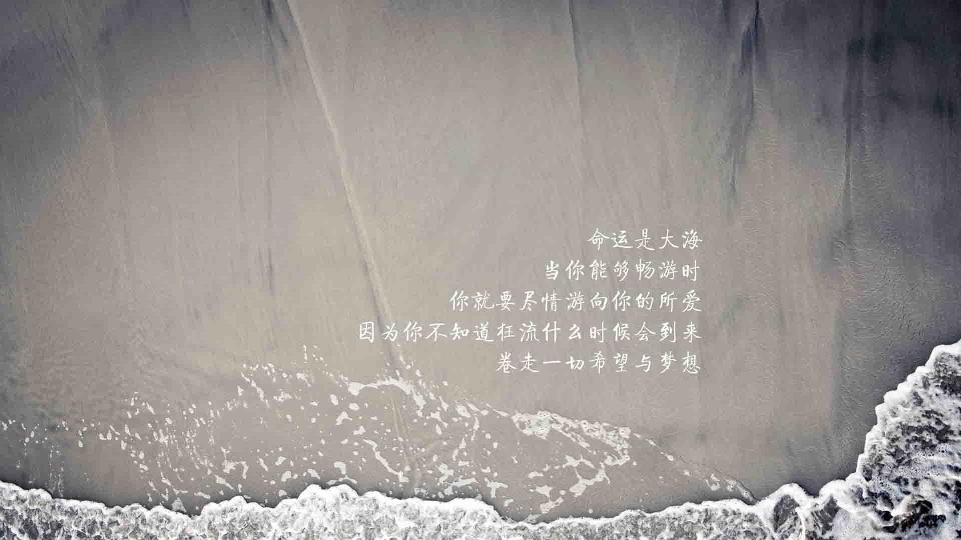 橙色风暴与黑色雄狮的宿命对决,2026世界杯B组,喀麦隆撕裂波兰防线,拉什福德独舞成最亮星辰